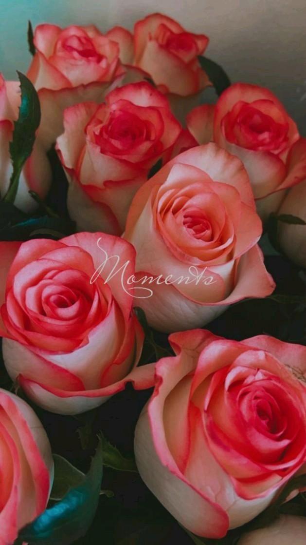 Corporate floral consultation example